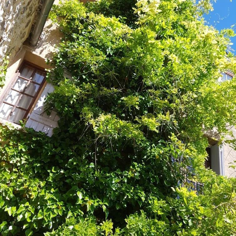 Apartament Le Balcon Camps-sur-l'Agly Zewnętrze zdjęcie